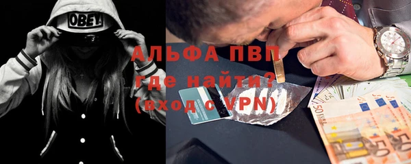 прущие грибы Медвежьегорск