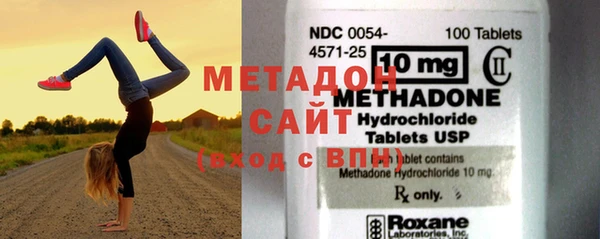 прущие грибы Медвежьегорск