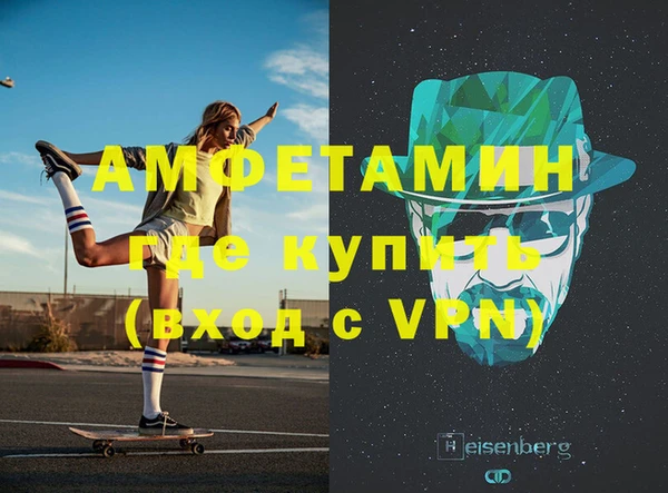 прущие грибы Медвежьегорск