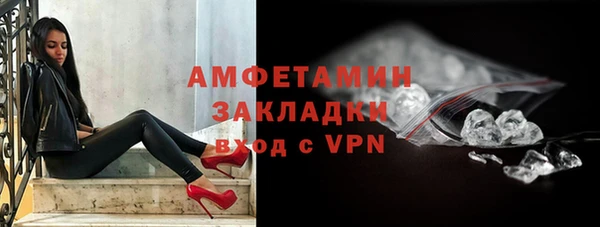 прущие грибы Медвежьегорск