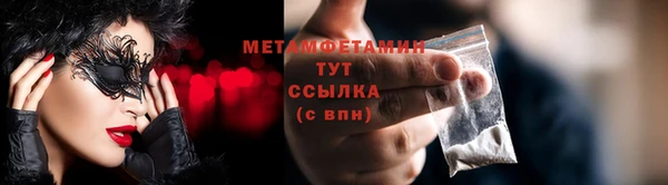 прущие грибы Медвежьегорск