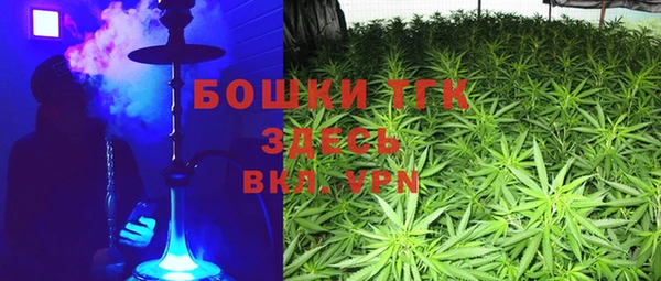 прущие грибы Медвежьегорск