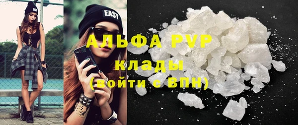 прущие грибы Медвежьегорск
