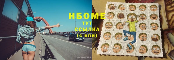 прущие грибы Медвежьегорск