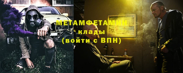 прущие грибы Медвежьегорск