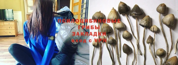 MDMA Premium VHQ Медногорск