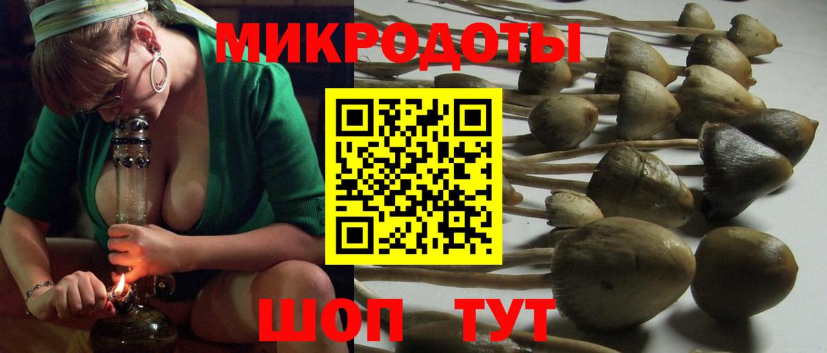 Псилоцибиновые грибы Psilocybine cubensis Сафоново