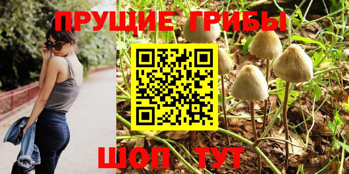Сафоново  Псилоцибиновые грибы Psilocybine cubensis  Вход с VPN  Галлюциногенные грибы Psilocybe 
